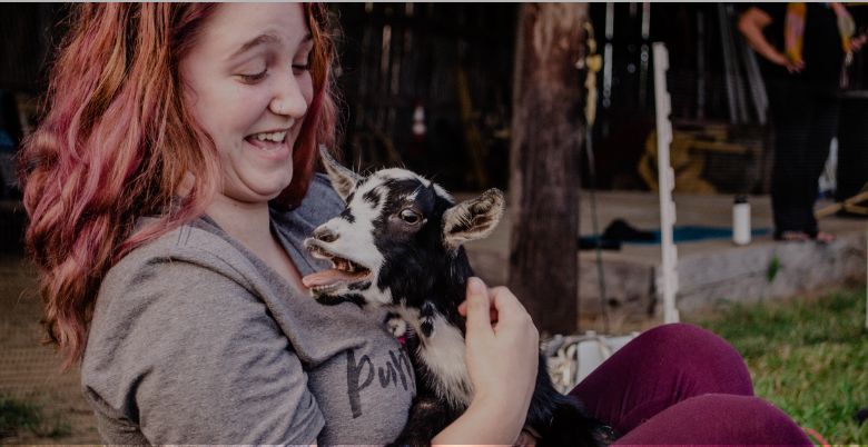 Goat Yoga